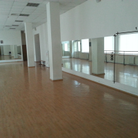 Зеркало в танцевальный зал 1800 1600 мм. ( 180 х 160 см)